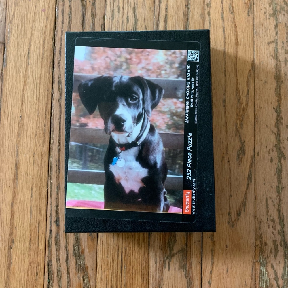 252 piece Jigsaw Puzzle - DOG IN FALL * EUC *
